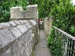 2006-0605-1608-36.jpg